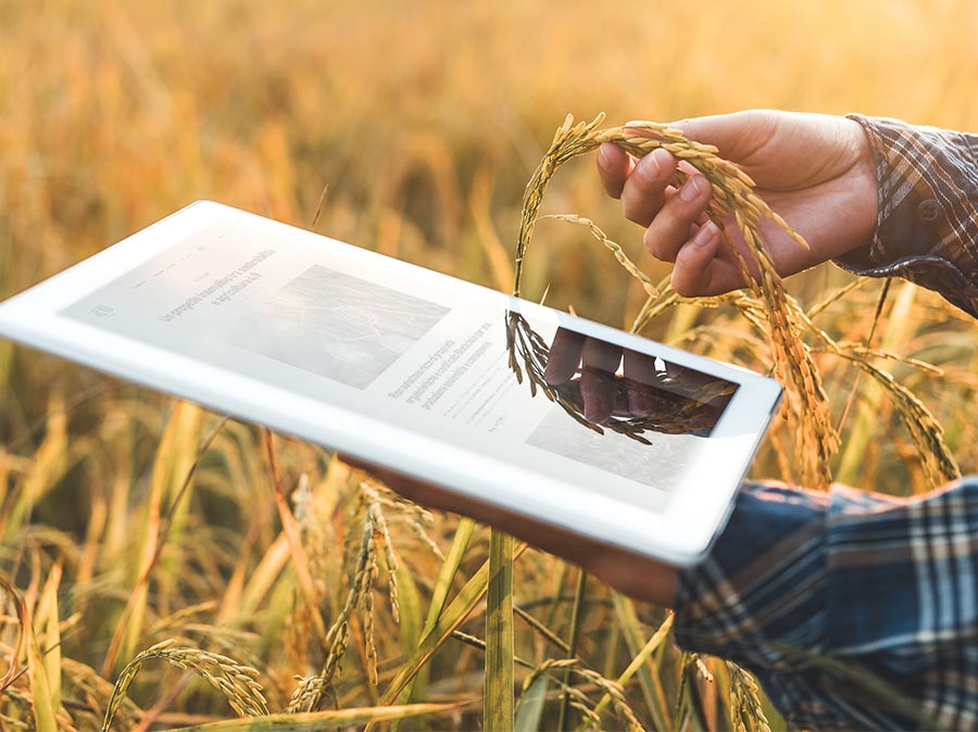 Un progetto innovativo tra rispetto, sostenibilità e agricoltura 4.0